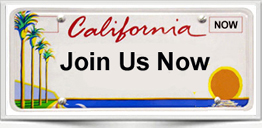 California virtual real estate broker