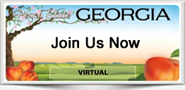 Georgia virtual real estate broker