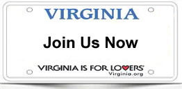 Virginia virtual real estate broker