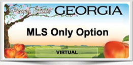 Georgia MLS Only Option
