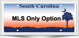 South Carolina MLS Only Option