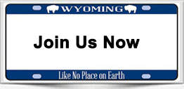 Wyoming DC virtual real estate broker